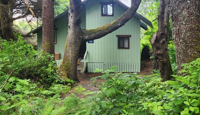 Dog-friendly beachfront cabin with ocean views & private path to beach