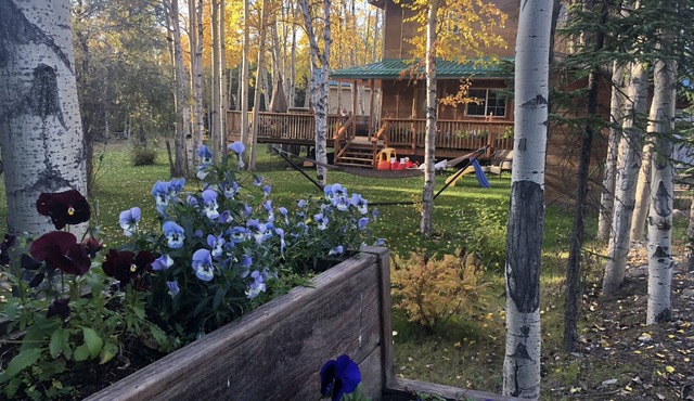 Gorgeous House in Healy, with HOT TUB
