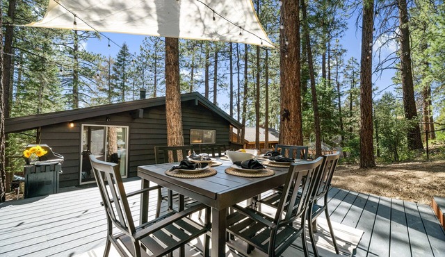 Lg Fenced Yard A/C Fire Pit EV Mtn Views