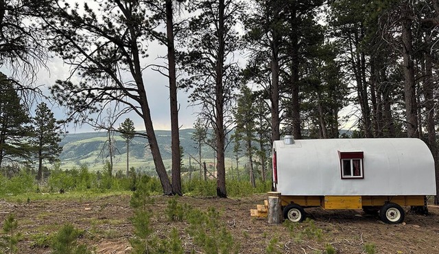 Luxuriously Rustic Hand-Crafted Sheep Wagon in Private Wooded Area with Views
