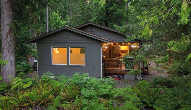 Mt Baker Forest Cabin Hot Tub Fireplace