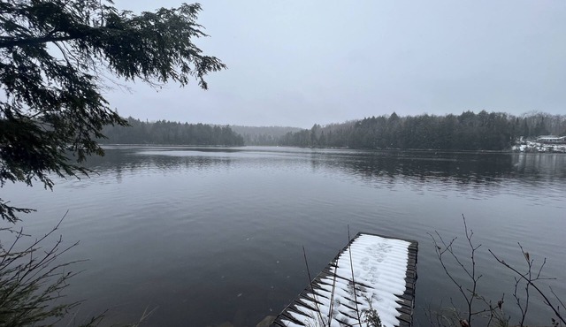Off-Grid Forest Cabin on Beautiful Lake in Almaguin Highlands