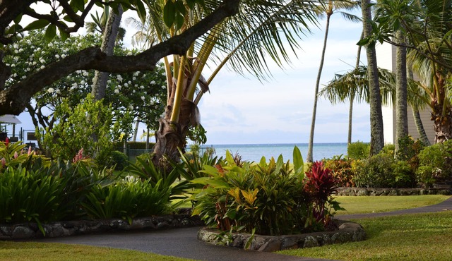 Peaceful Ocean View. Ground Floor. Classy, clean and quiet.