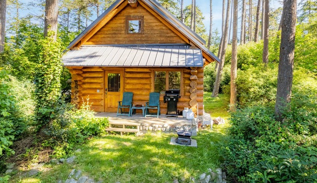 Penn Cove Overlook - Cabin with Loft