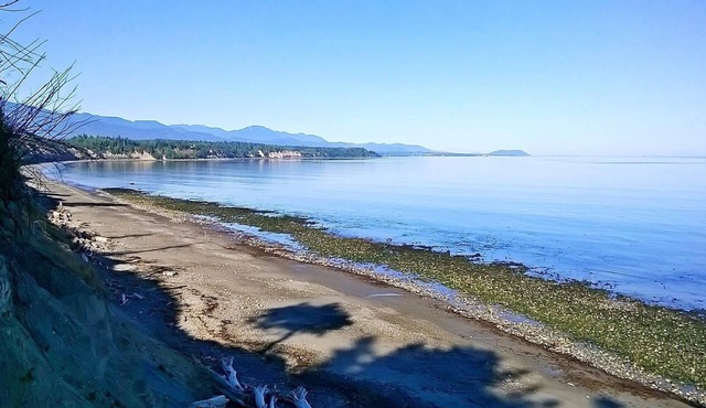 Private Beach Access Trail And Peaceful Wooded Setting