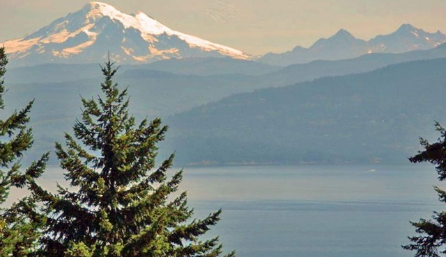 Romantic Waterview Island Cabin/Enclosed Hot TUB/Pet Friendly/wood fire