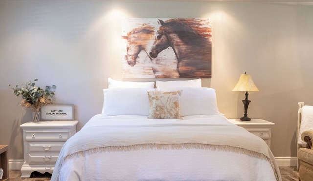 Spacious Studio Basement Apartment Horse Farm Stay