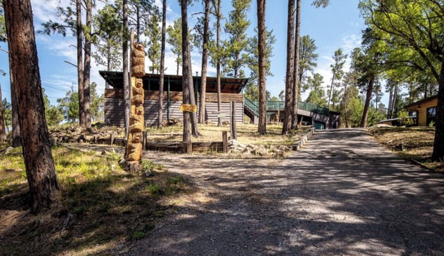 Stargazer - Beautiful Cabin - Huge covered decks, hot tub, wildlife