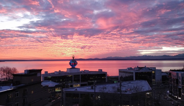 Top Floor Water View Oasis near Space Needle & Cruise