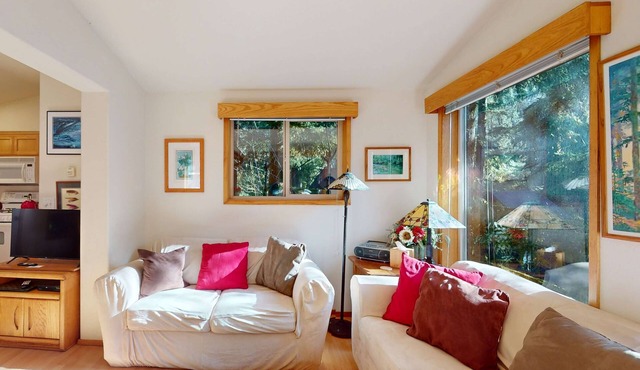 Tree-lined cabin with studio & gorgeous decks, just up from Whaleshead Beach