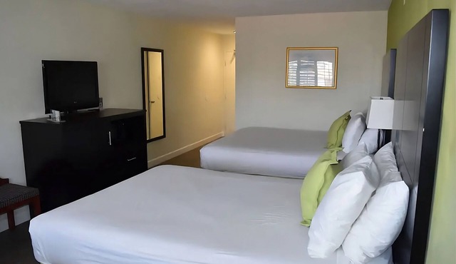 Visit Sunset Cliffs, San Diego! Classic Unit Close to Garden of the Sea!