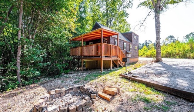 Walnut: Sleep 4, Tiny Cabin, Pets, Near Park/Lake