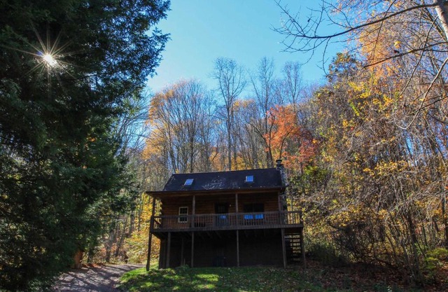 Pioneer - Hocking Hills Cabin