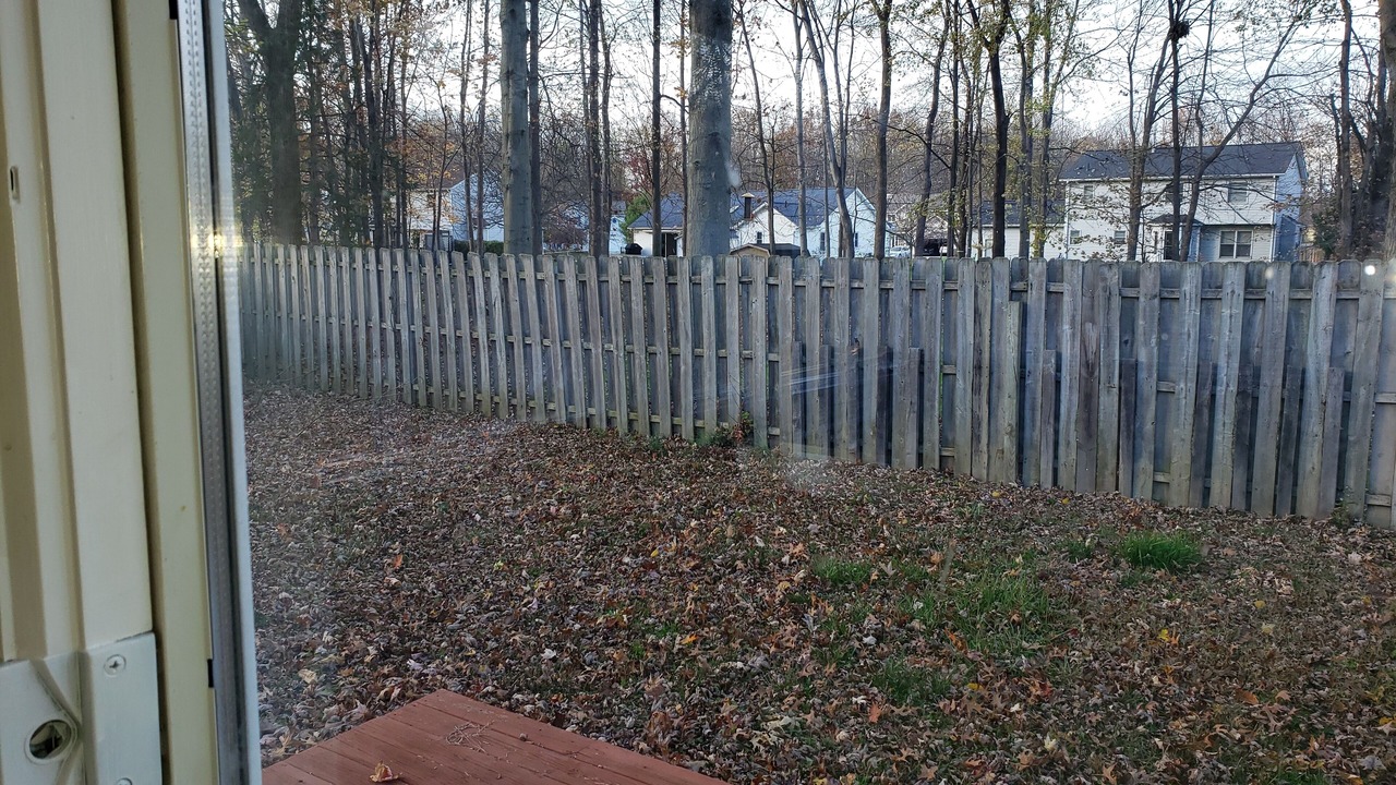 Photo of Others in Mentor