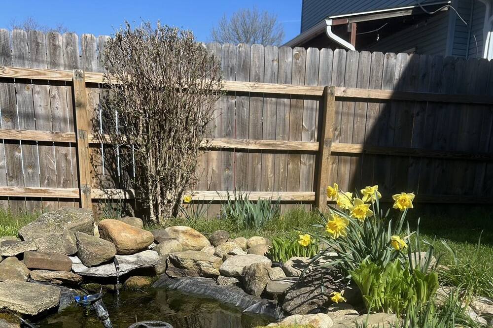 Photo of Outdoor in Dover
