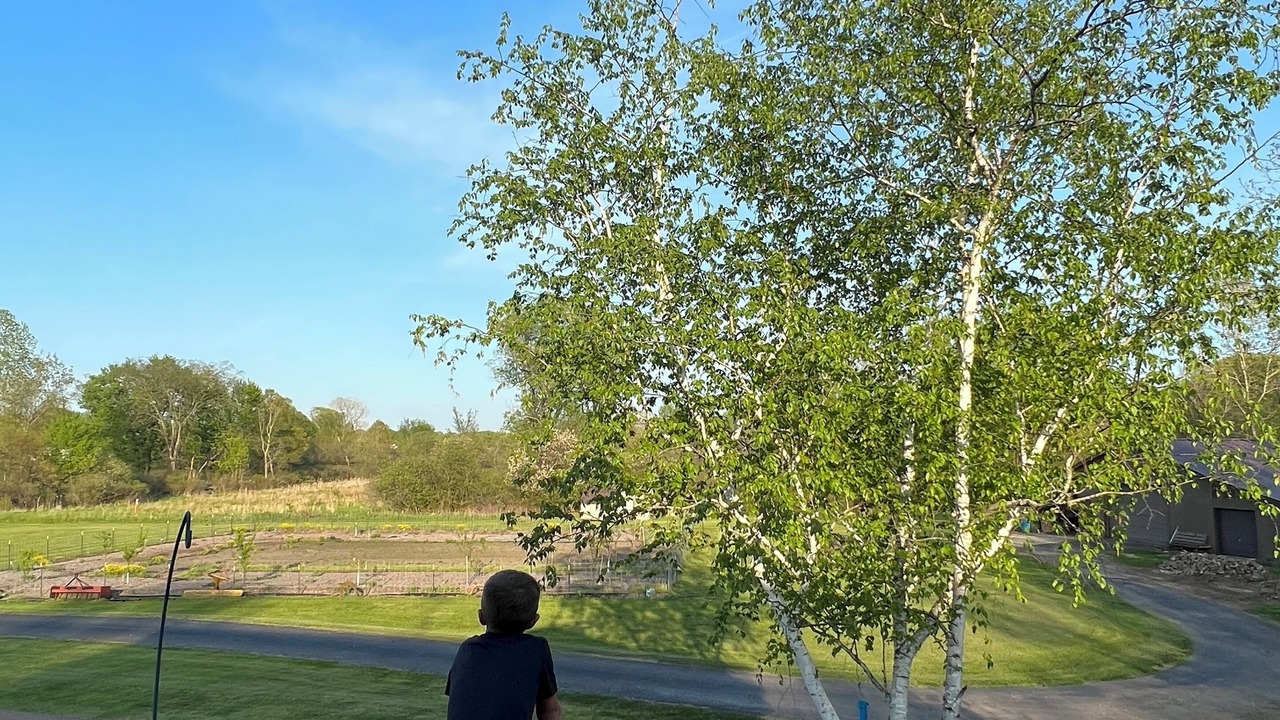 Photo of Outdoor in North Canton