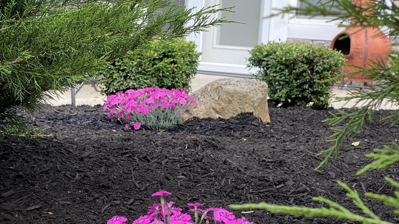 Photo of Outdoor in Massillon