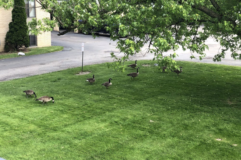 Photo of Outdoor in Maple Heights