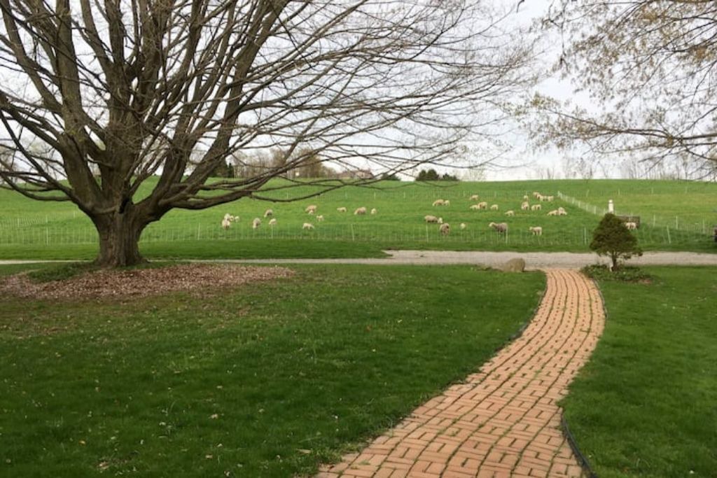 Photo of Others in Wooster
