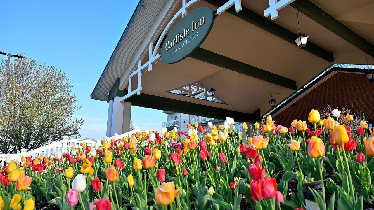 Photo of Outdoor in Sugarcreek