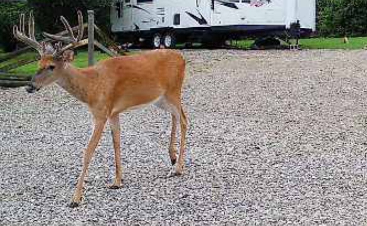 Photo of Others in East Fultonham