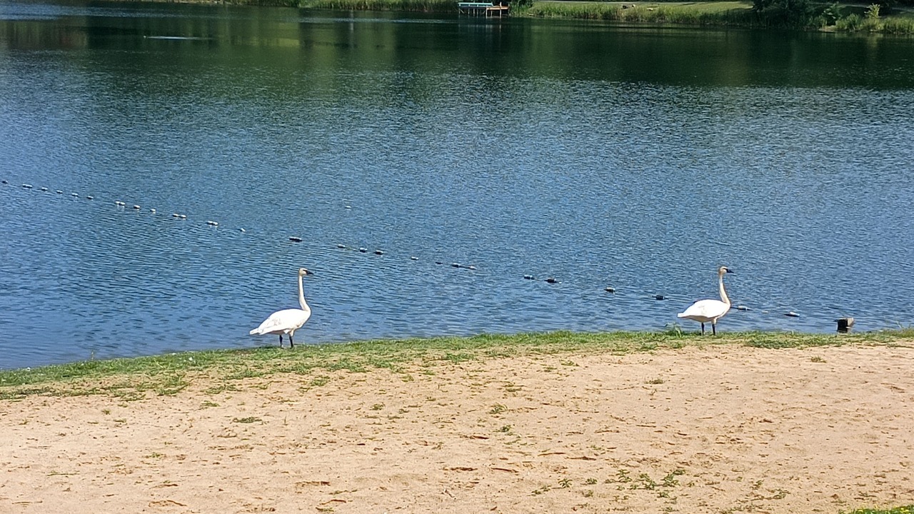 Photo of Others in Burton