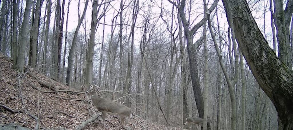 Photo of Others in Sardis
