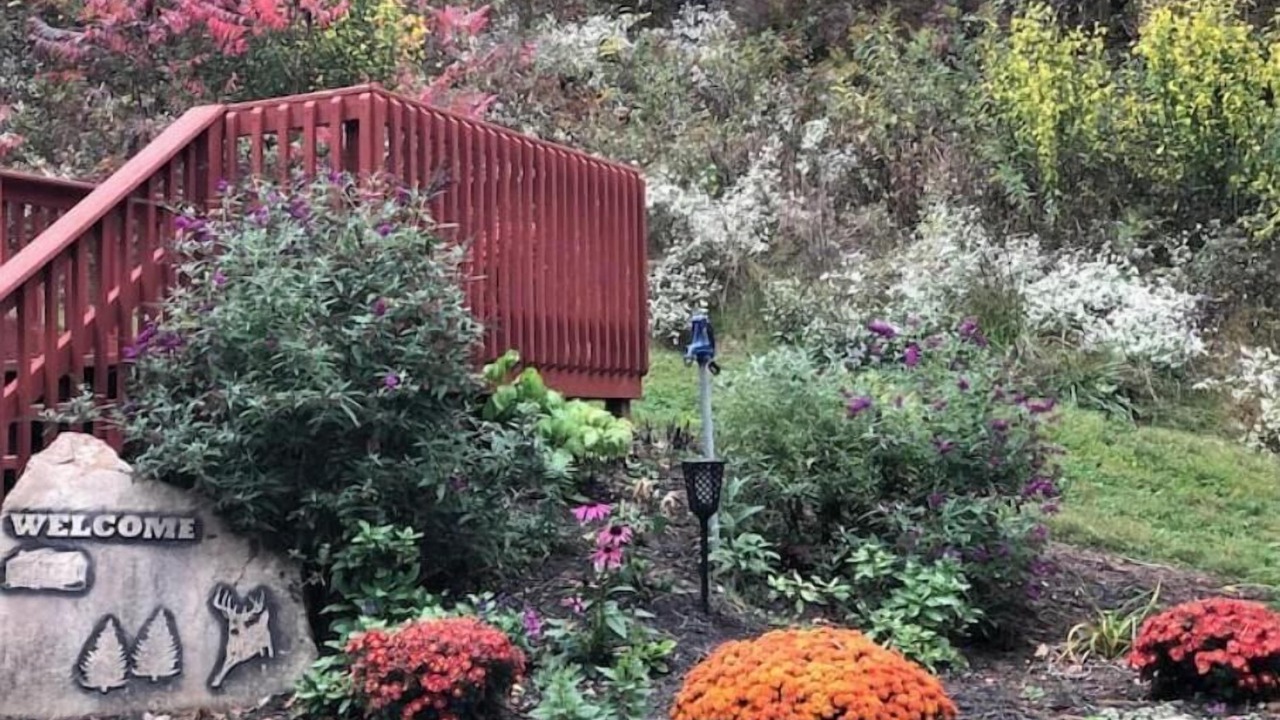 Photo of Outdoor in Millfield