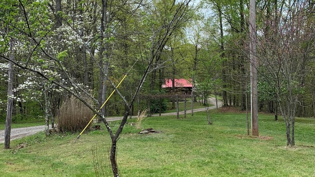 Photo of Outdoor in Sycamore Valley