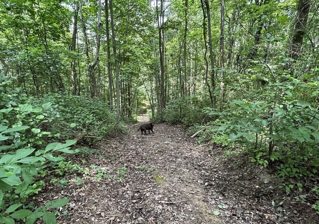 Photo of Outdoor in Senecaville