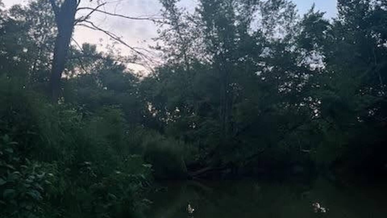 Photo of Others in Blissfield