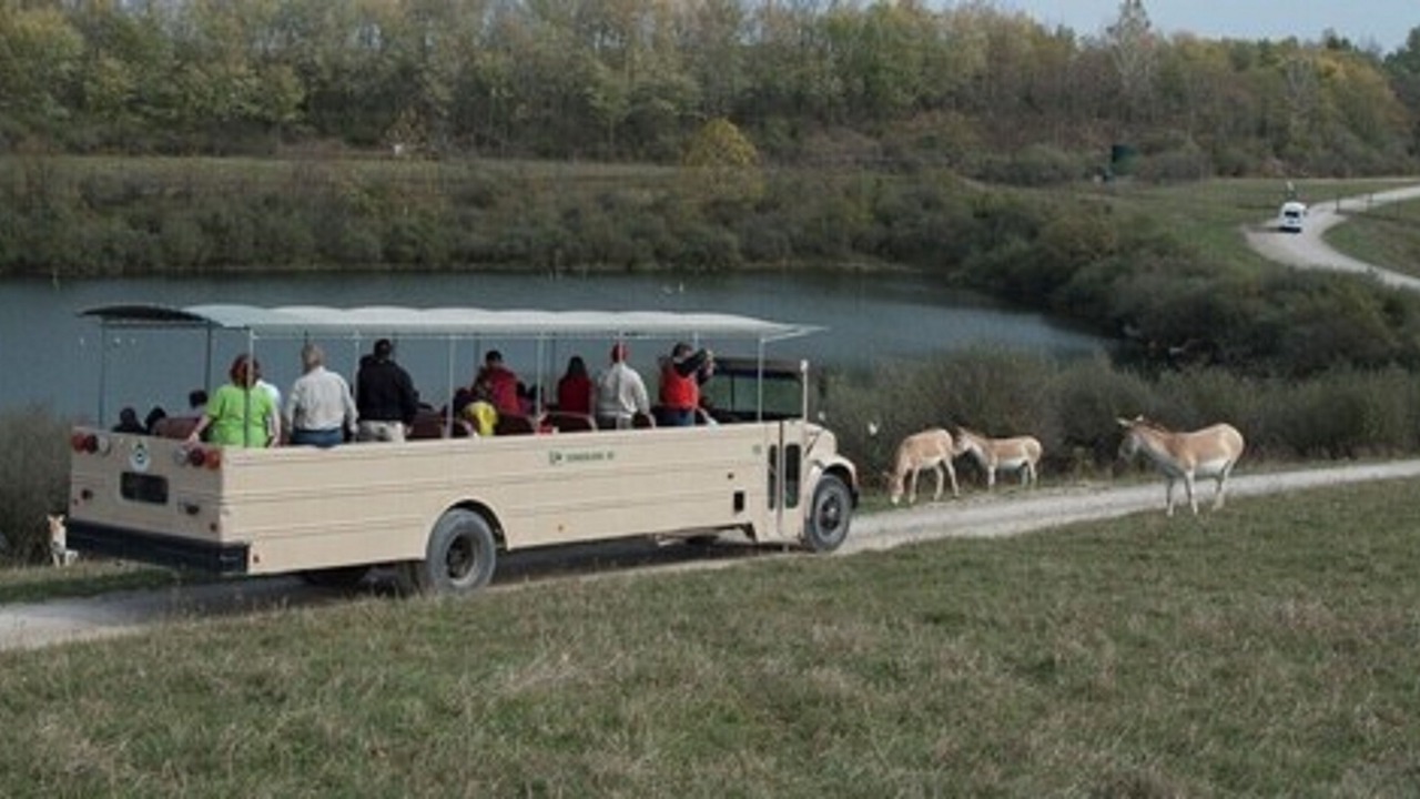 Photo of Others in Zanesville