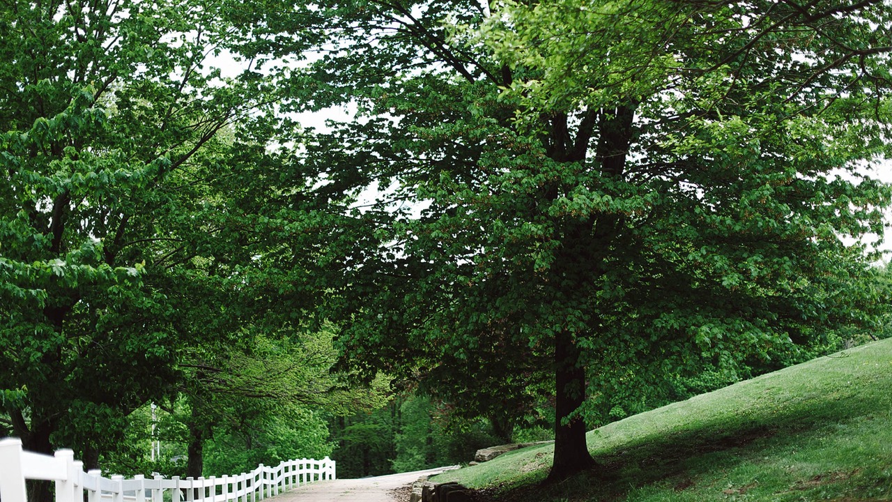 Photo of Outdoor in Dresden