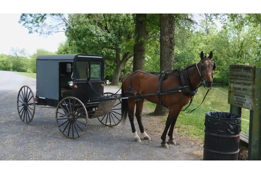 Photo of Outdoor in Mount Vernon