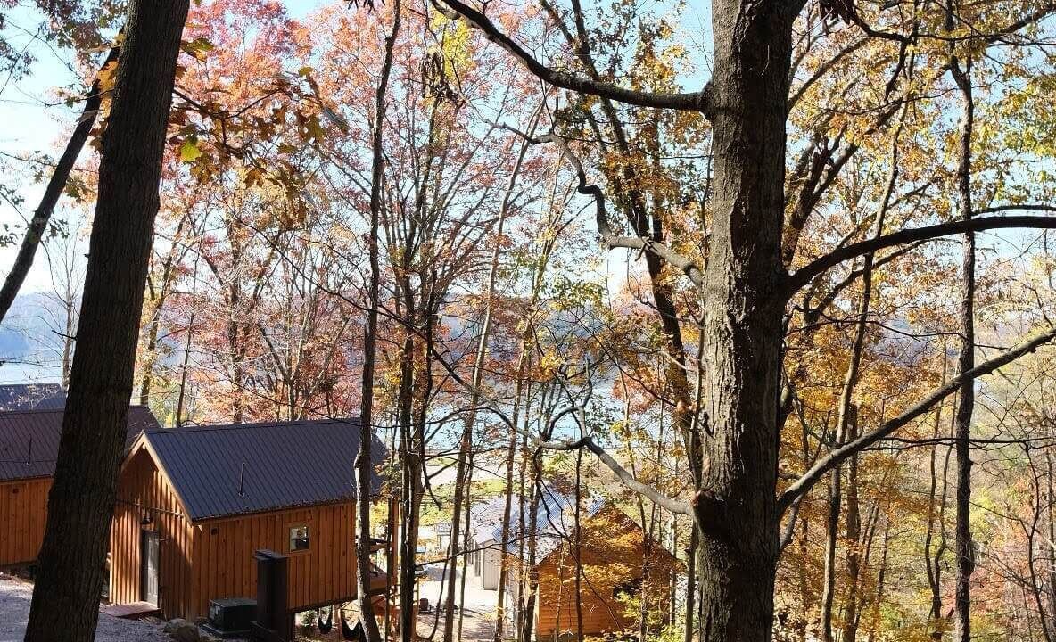 Photo of Others in Scio