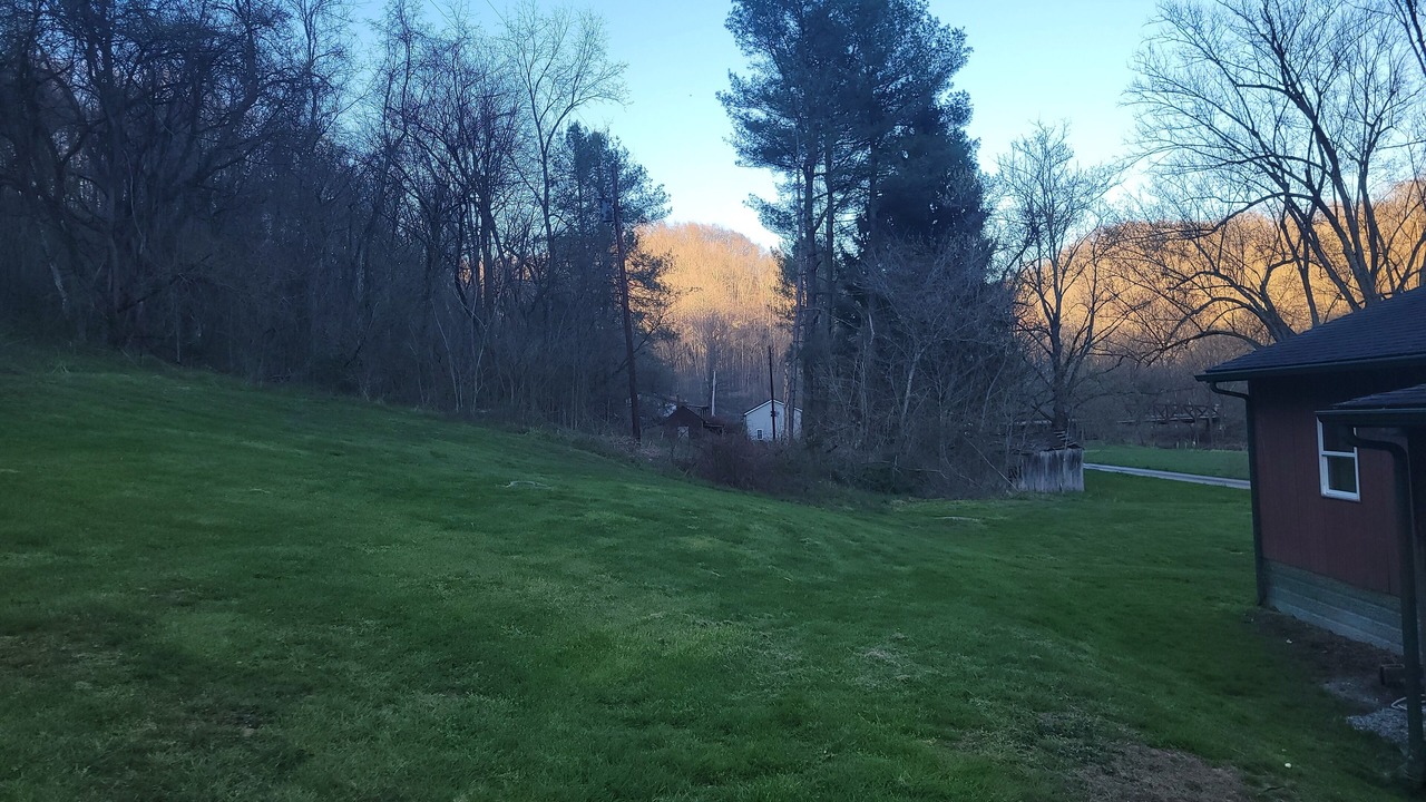 Photo of Outdoor in Laings