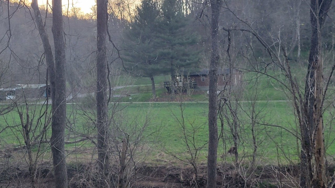 Photo of Outdoor in Laings