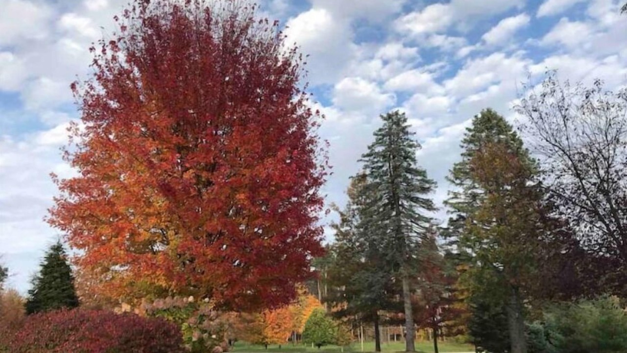 Photo of Outdoor in Mansfield