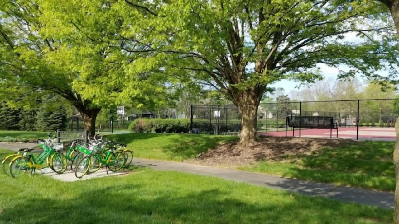 Photo of Outdoor in Dublin