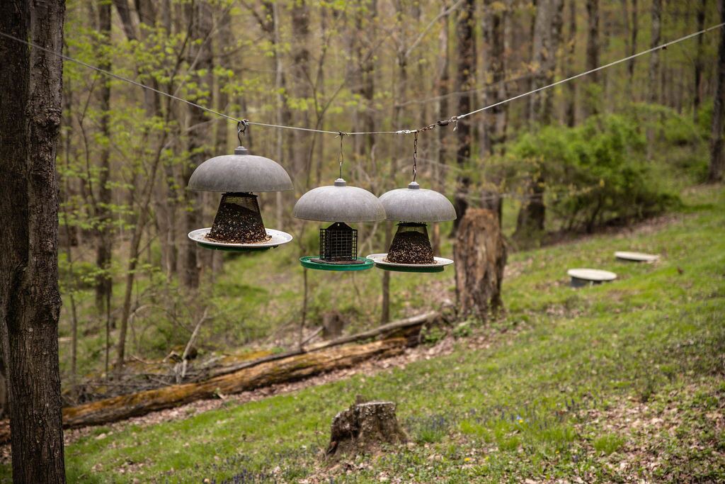 Photo of Outdoor in Killbuck