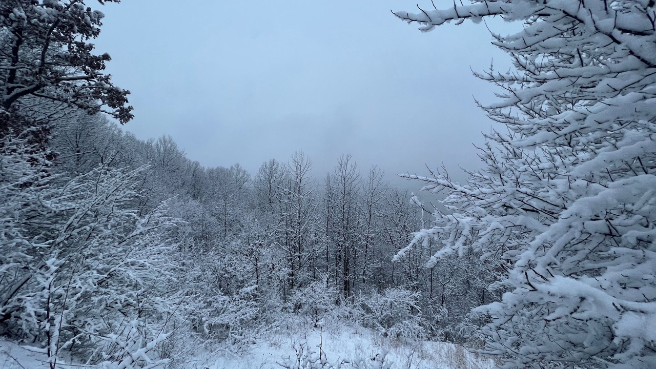 Photo of Outdoor in Cuyahoga Falls