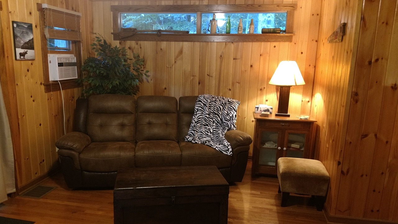Photo of Livingroom in Loudonville