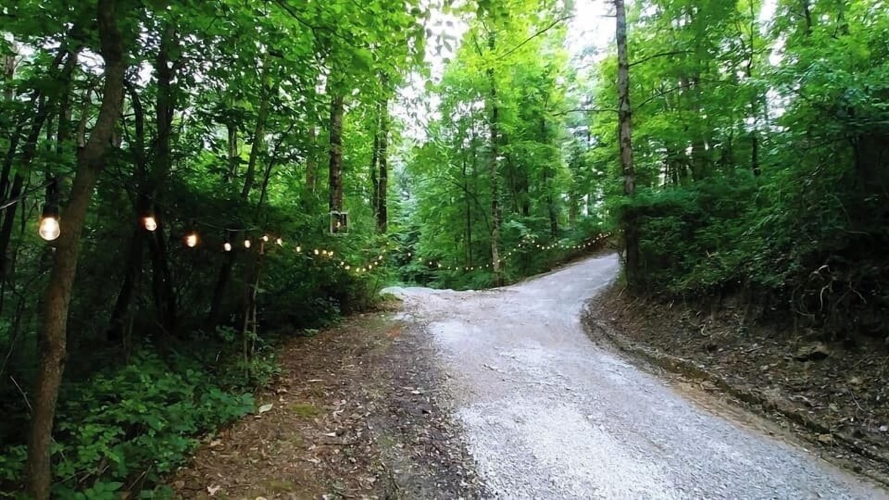 Photo of Others in Carbon Hill