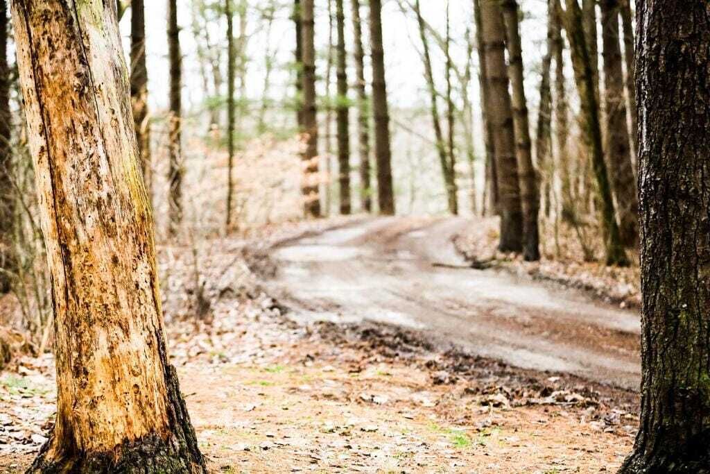 Photo of Others in Carbon Hill