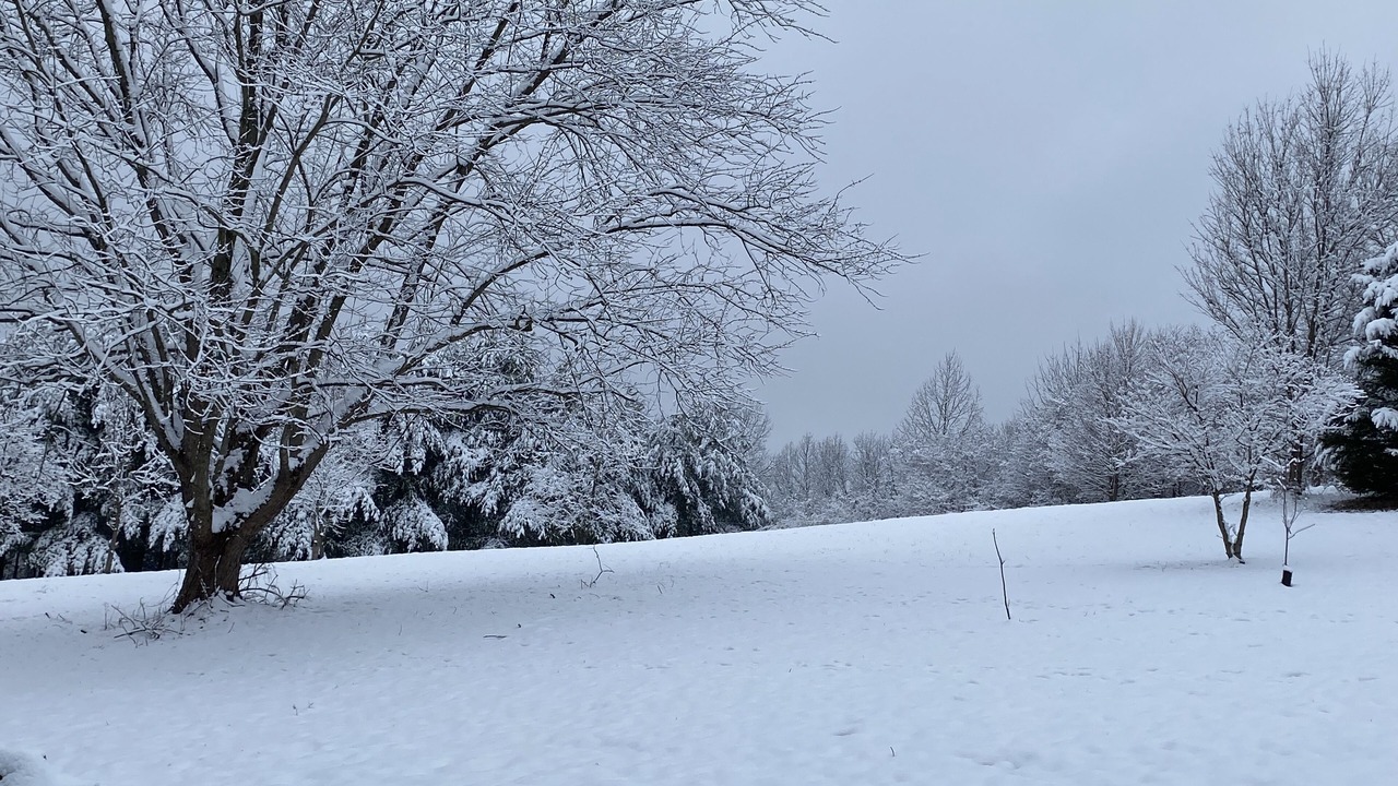 Photo of Others in Wingett Run
