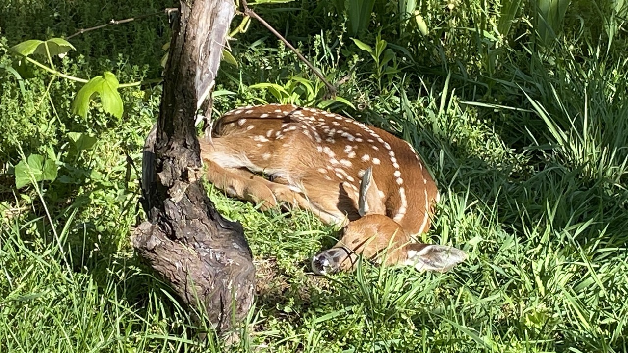 Photo of Outdoor in Wingett Run