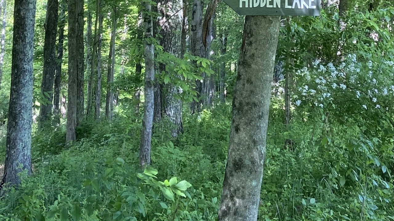 Photo of Others in Bartlett