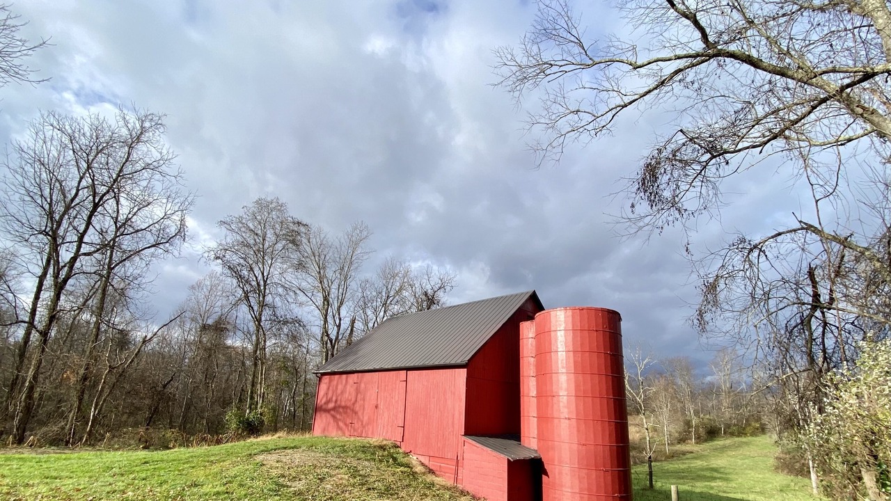 Photo of Outdoor in Bartlett