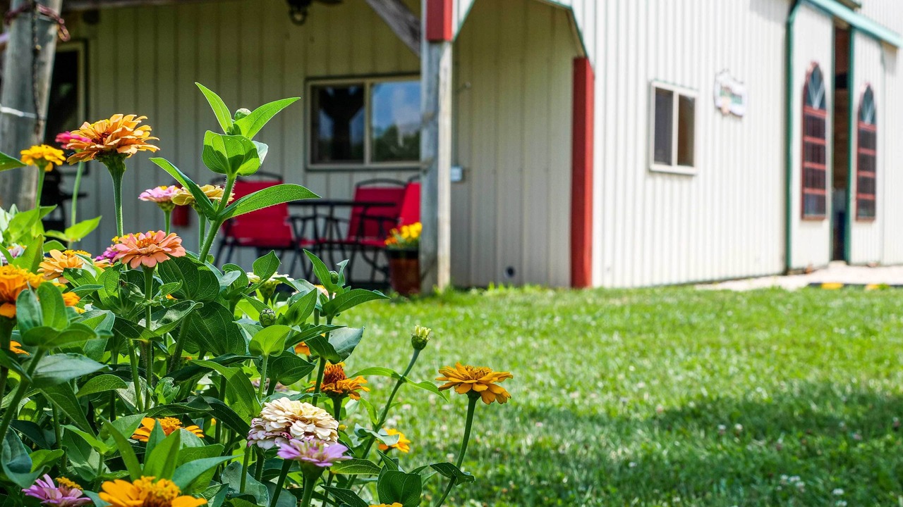 Photo of Outdoor in Perrysville