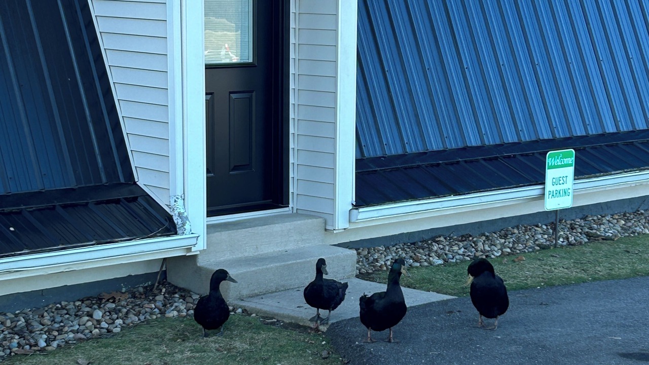 Photo of Others in Millersburg
